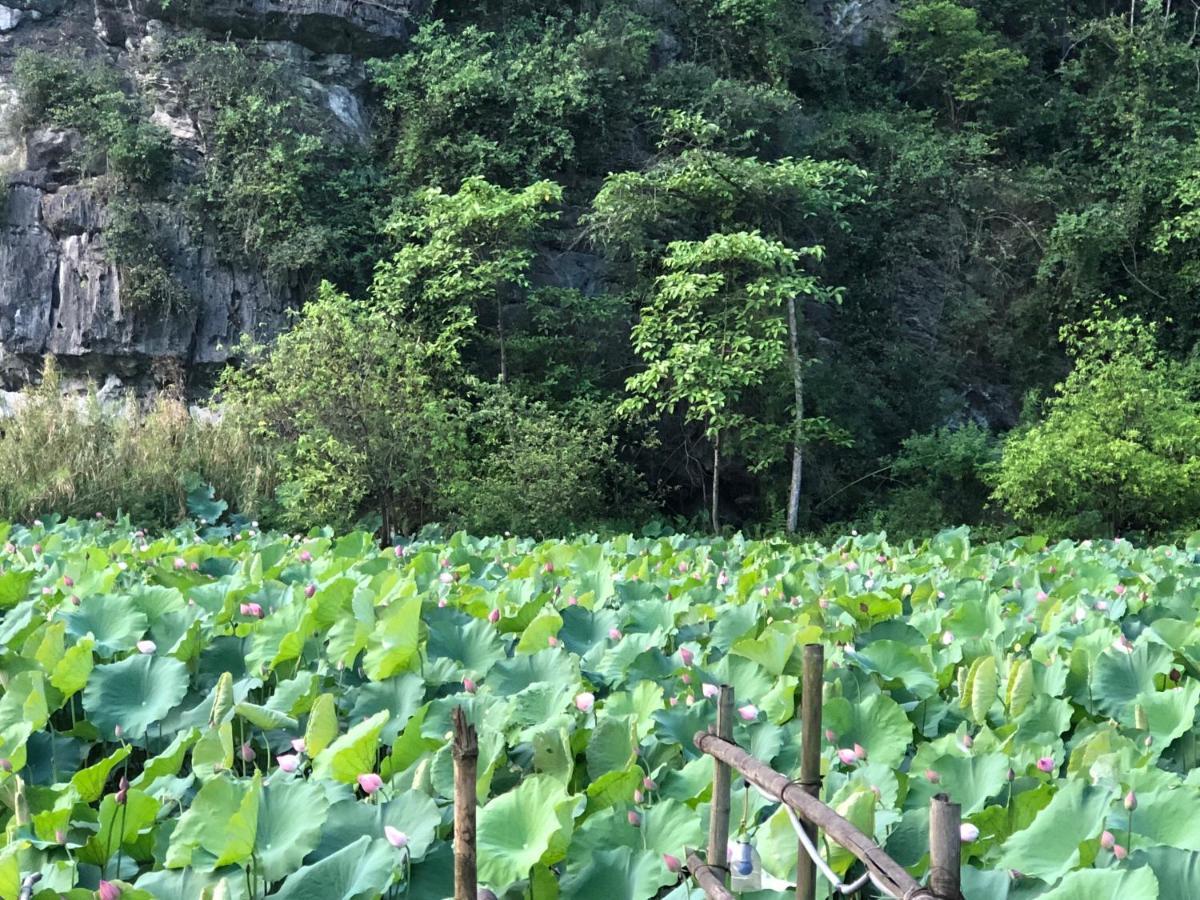 Trang An River View Homestay Ninh Binh Zewnętrze zdjęcie